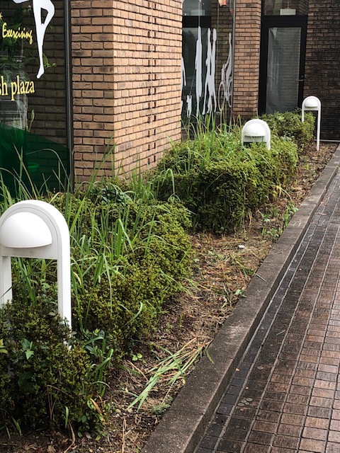 富岩運河環水公園内の照明、louis poulsen、HOMANN BOLLARD