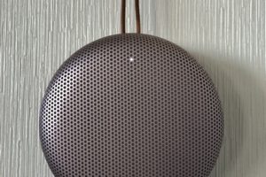 BANG&OLUFSEN Beosound A1 2nd Gen Pink Cecilie_Manz Denmark Danish_Design Bluetooth IP67 wireless_speaker portable