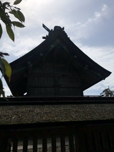 出雲大社 島根県 日本の聖地 高床式 参道 一泊旅行